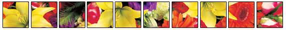 Petals Flowers St Louis   Australia