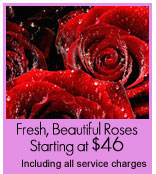 Roses starting at 46 dollars